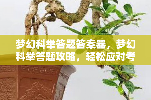 梦幻科举答题答案器,梦幻科举答题攻略,轻松应对考试,成为状元郎! 梦幻科举答题答案器,梦幻科举答题攻略,轻松应对考试,成为状元郎!