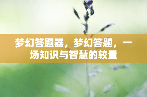 梦幻答题器,梦幻答题,一场知识与智慧的较量 梦幻答题器,梦幻答题,一场知识与智慧的较量