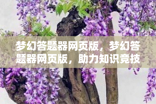 梦幻答题器网页版，梦幻答题器网页版，助力知识竞技，轻松应对挑战