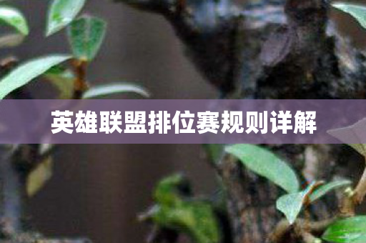 英雄联盟排位赛规则详解 英雄联盟排位赛规则详解