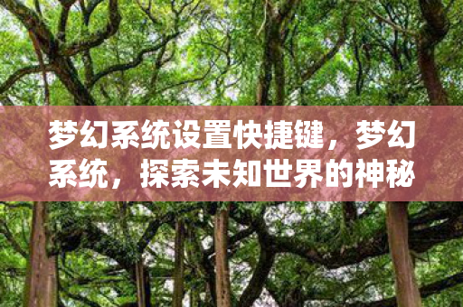 梦幻系统设置快捷键,梦幻系统,探索未知世界的神秘力量 梦幻系统设置快捷键,梦幻系统,探索未知世界的神秘力量