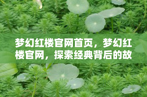 梦幻红楼官网首页,梦幻红楼官网,探索经典背后的故事与魅力 梦幻红楼官网首页,梦幻红楼官网,探索经典背后的故事与魅力