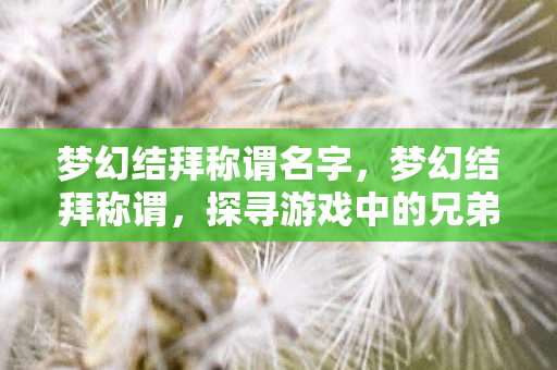 梦幻结拜称谓名字,梦幻结拜称谓,探寻游戏中的兄弟情深 梦幻结拜称谓名字,梦幻结拜称谓,探寻游戏中的兄弟情深