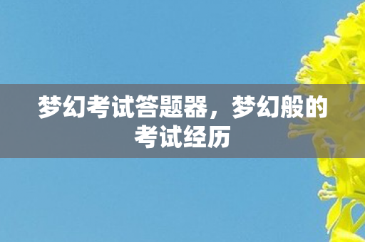梦幻考试答题器，梦幻般的考试经历
