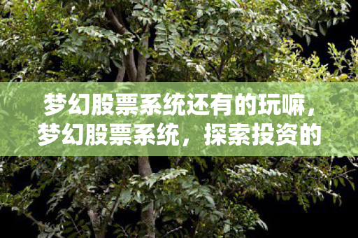 梦幻股票系统还有的玩嘛，梦幻股票系统，探索投资的神秘世界