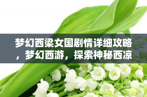 梦幻西梁女国剧情详细攻略，梦幻西游，探索神秘西凉女国的传奇剧情