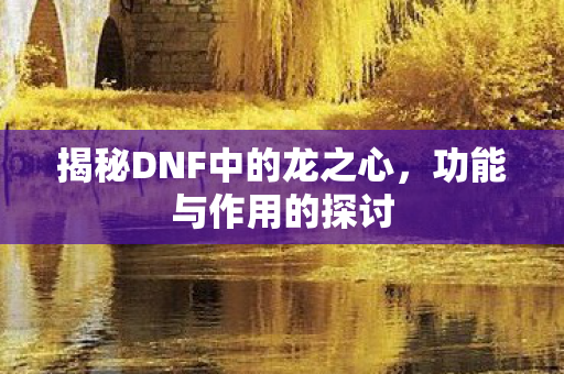 揭秘DNF中的龙之心，功能与作用的探讨