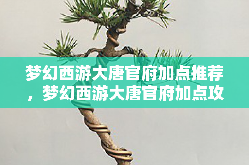 梦幻西游大唐官府加点推荐,梦幻西游大唐官府加点攻略,打造无敌战士的秘诀 梦幻西游大唐官府加点推荐,梦幻西游大唐官府加点攻略,打造无敌战士的秘诀