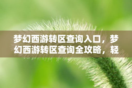 梦幻西游转区查询入口,梦幻西游转区查询全攻略,轻松掌握转区流程与查询技巧 梦幻西游转区查询入口,梦幻西游转区查询全攻略,轻松掌握转区流程与查询技巧