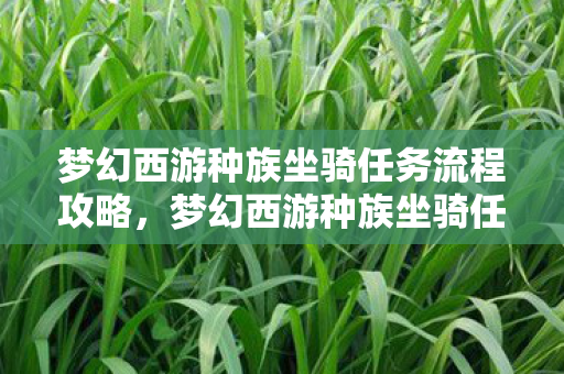 梦幻西游种族坐骑任务流程攻略，梦幻西游种族坐骑任务攻略，一步步带你领略奇幻之旅
