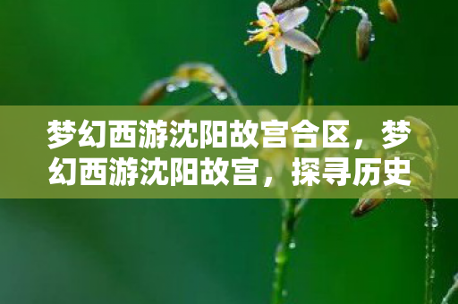 梦幻西游沈阳故宫合区,梦幻西游沈阳故宫,探寻历史与游戏的交融之美 梦幻西游沈阳故宫合区,梦幻西游沈阳故宫,探寻历史与游戏的交融之美