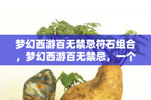 梦幻西游百无禁忌符石组合,梦幻西游百无禁忌,一个游戏世界的无尽探索与冒险之旅 梦幻西游百无禁忌符石组合,梦幻西游百无禁忌,一个游戏世界的无尽探索与冒险之旅