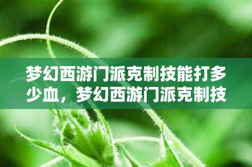 梦幻西游门派克制技能打多少血,梦幻西游门派克制技能详解 梦幻西游门派克制技能打多少血,梦幻西游门派克制技能详解