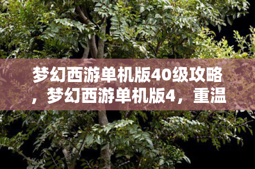 梦幻西游单机版40级攻略,梦幻西游单机版4,重温经典,探索未知的游戏世界 梦幻西游单机版40级攻略,梦幻西游单机版4,重温经典,探索未知的游戏世界