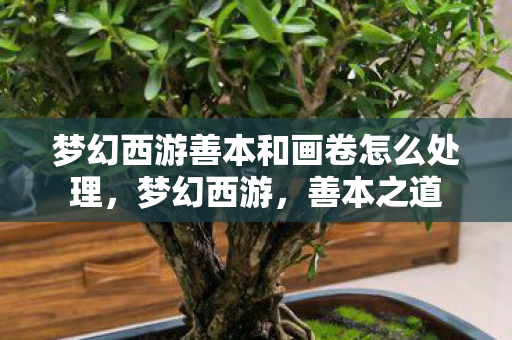 梦幻西游善本和画卷怎么处理,梦幻西游,善本之道 梦幻西游善本和画卷怎么处理,梦幻西游,善本之道