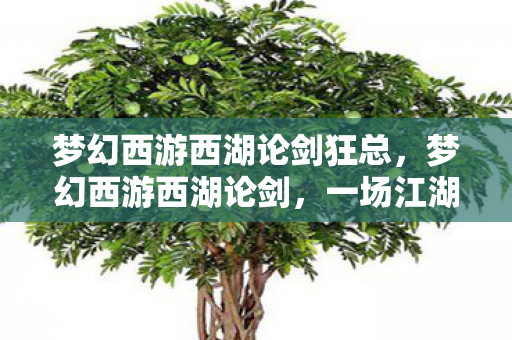 梦幻西游西湖论剑狂总,梦幻西游西湖论剑,一场江湖风云的盛宴 梦幻西游西湖论剑狂总,梦幻西游西湖论剑,一场江湖风云的盛宴