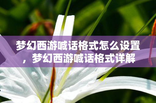 梦幻西游喊话格式怎么设置,梦幻西游喊话格式详解 梦幻西游喊话格式怎么设置,梦幻西游喊话格式详解