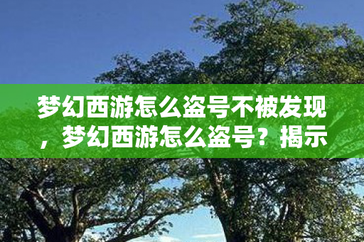 梦幻西游怎么盗号不被发现,梦幻西游怎么盗号?揭示盗号真相,保护你的游戏账号安全 梦幻西游怎么盗号不被发现,梦幻西游怎么盗号?揭示盗号真相,保护你的游戏账号安全