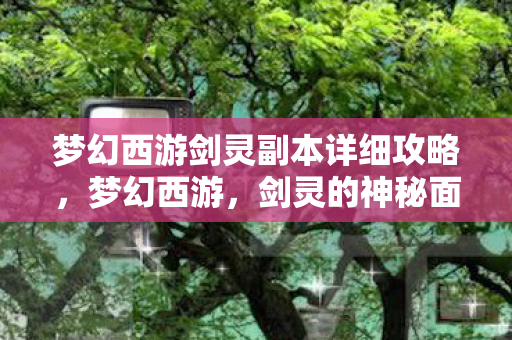 梦幻西游剑灵副本详细攻略，梦幻西游，剑灵的神秘面纱之下