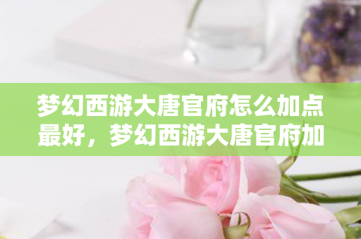 梦幻西游大唐官府怎么加点最好，梦幻西游大唐官府加点攻略