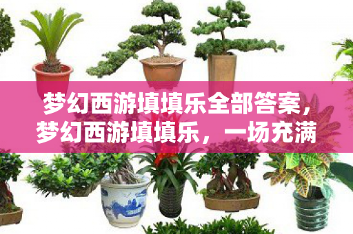 梦幻西游填填乐全部答案,梦幻西游填填乐,一场充满奇遇与冒险的游戏之旅 梦幻西游填填乐全部答案,梦幻西游填填乐,一场充满奇遇与冒险的游戏之旅