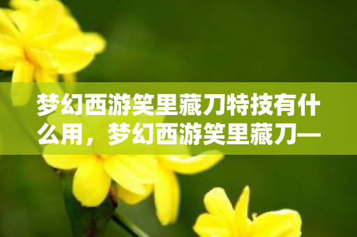 梦幻西游笑里藏刀特技有什么用,梦幻西游笑里藏刀—深度解析游戏策略与人性博弈 梦幻西游笑里藏刀特技有什么用,梦幻西游笑里藏刀—深度解析游戏策略与人性博弈