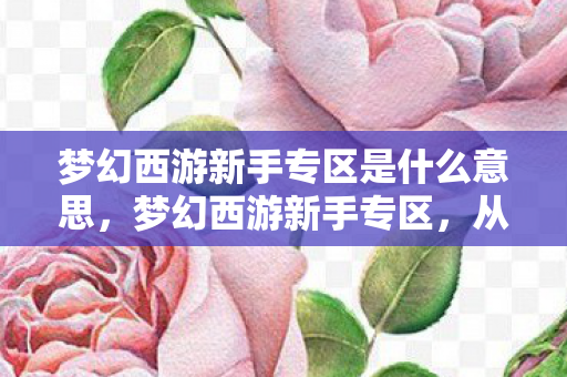 梦幻西游新手专区是什么意思,梦幻西游新手专区,从零开始,轻松玩转梦幻世界! 梦幻西游新手专区是什么意思,梦幻西游新手专区,从零开始,轻松玩转梦幻世界!