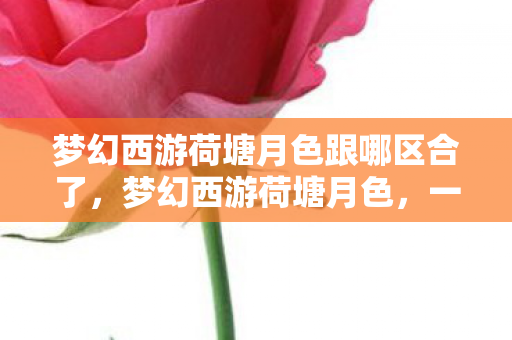 梦幻西游荷塘月色跟哪区合了,梦幻西游荷塘月色,一场别样的游戏与自然的交融之旅 梦幻西游荷塘月色跟哪区合了,梦幻西游荷塘月色,一场别样的游戏与自然的交融之旅