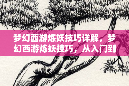 梦幻西游炼妖技巧详解,梦幻西游炼妖技巧,从入门到精通 梦幻西游炼妖技巧详解,梦幻西游炼妖技巧,从入门到精通