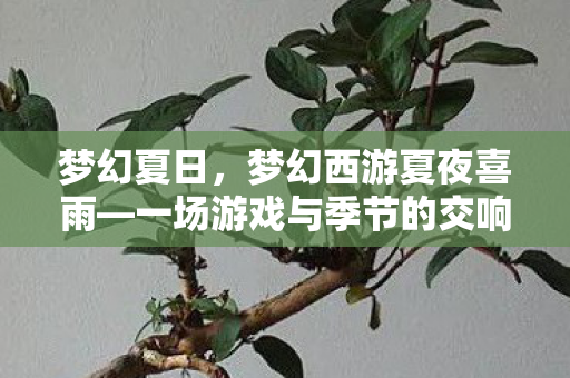 梦幻夏日,梦幻西游夏夜喜雨—一场游戏与季节的交响乐章 梦幻夏日,梦幻西游夏夜喜雨—一场游戏与季节的交响乐章