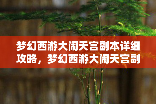 梦幻西游大闹天宫副本详细攻略,梦幻西游大闹天宫副本,深度解析与攻略指南 梦幻西游大闹天宫副本详细攻略,梦幻西游大闹天宫副本,深度解析与攻略指南