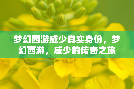 梦幻西游威少真实身份,梦幻西游,威少的传奇之旅 梦幻西游威少真实身份,梦幻西游,威少的传奇之旅
