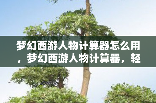 梦幻西游人物计算器怎么用,梦幻西游人物计算器,轻松掌握角色属性与技能加成 梦幻西游人物计算器怎么用,梦幻西游人物计算器,轻松掌握角色属性与技能加成
