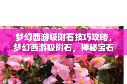 梦幻西游吸附石技巧攻略，梦幻西游吸附石，神秘宝石的奥秘与魅力