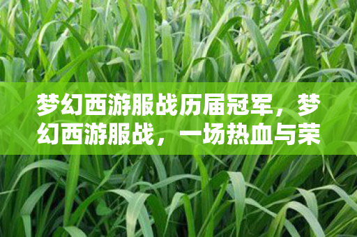梦幻西游服战历届冠军,梦幻西游服战,一场热血与荣耀的较量 梦幻西游服战历届冠军,梦幻西游服战,一场热血与荣耀的较量