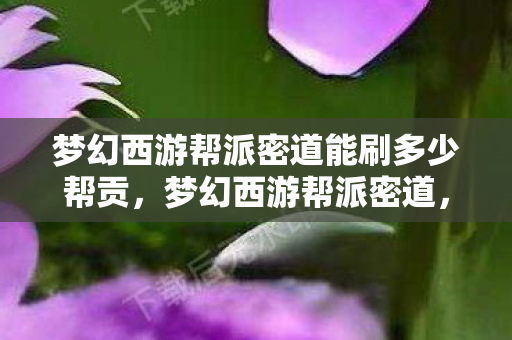 梦幻西游帮派密道能刷多少帮贡,梦幻西游帮派密道,探索神秘之地,体验独特玩法 梦幻西游帮派密道能刷多少帮贡,梦幻西游帮派密道,探索神秘之地,体验独特玩法