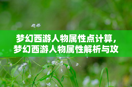 梦幻西游人物属性点计算,梦幻西游人物属性解析与攻略 梦幻西游人物属性点计算,梦幻西游人物属性解析与攻略
