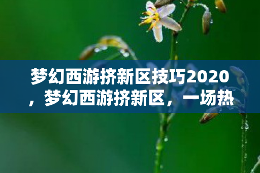 梦幻西游挤新区技巧2020,梦幻西游挤新区,一场热血的冒险之旅 梦幻西游挤新区技巧2020,梦幻西游挤新区,一场热血的冒险之旅