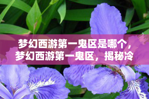 梦幻西游第一鬼区是哪个,梦幻西游第一鬼区,揭秘冷门服务器背后的故事 梦幻西游第一鬼区是哪个,梦幻西游第一鬼区,揭秘冷门服务器背后的故事
