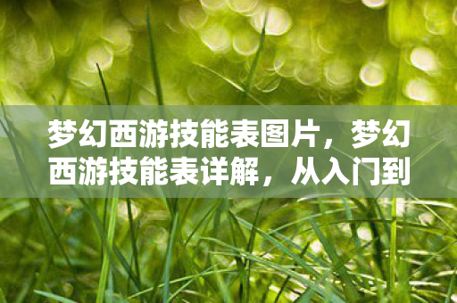 梦幻西游技能表图片，梦幻西游技能表详解，从入门到精通