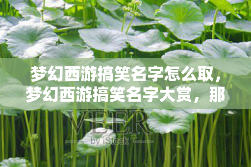 梦幻西游搞笑名字怎么取,梦幻西游搞笑名字大赏,那些让人笑出泪水的游戏昵称 梦幻西游搞笑名字怎么取,梦幻西游搞笑名字大赏,那些让人笑出泪水的游戏昵称