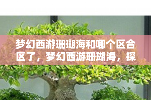 梦幻西游珊瑚海和哪个区合区了，梦幻西游珊瑚海，探索神秘海域的奇幻之旅