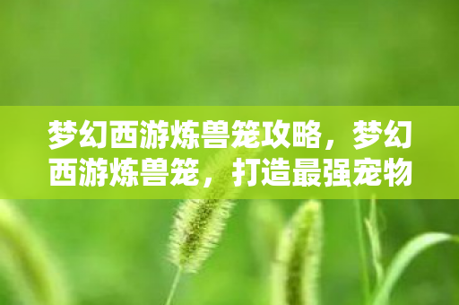 梦幻西游炼兽笼攻略,梦幻西游炼兽笼,打造最强宠物的秘密武器 梦幻西游炼兽笼攻略,梦幻西游炼兽笼,打造最强宠物的秘密武器