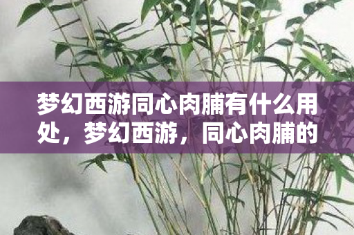 梦幻西游同心肉脯有什么用处，梦幻西游，同心肉脯的魅力与独特之处