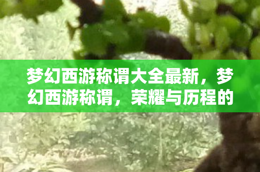 梦幻西游称谓大全最新,梦幻西游称谓,荣耀与历程的见证 梦幻西游称谓大全最新,梦幻西游称谓,荣耀与历程的见证