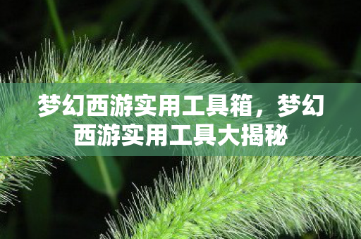 梦幻西游实用工具箱,梦幻西游实用工具大揭秘 梦幻西游实用工具箱,梦幻西游实用工具大揭秘