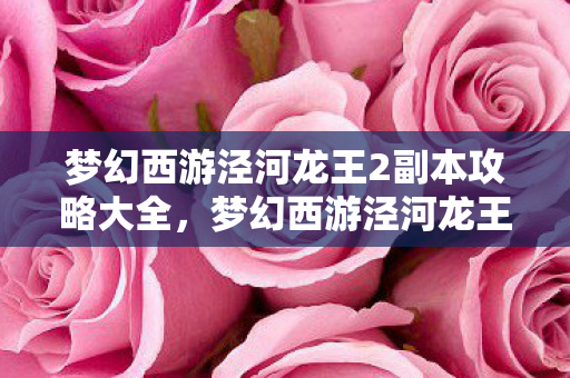 梦幻西游泾河龙王2副本攻略大全，梦幻西游泾河龙王2副本攻略