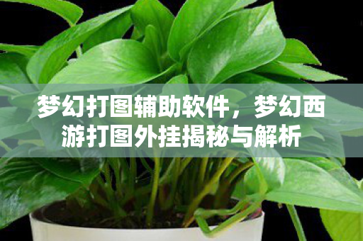 梦幻打图辅助软件，梦幻西游打图外挂揭秘与解析