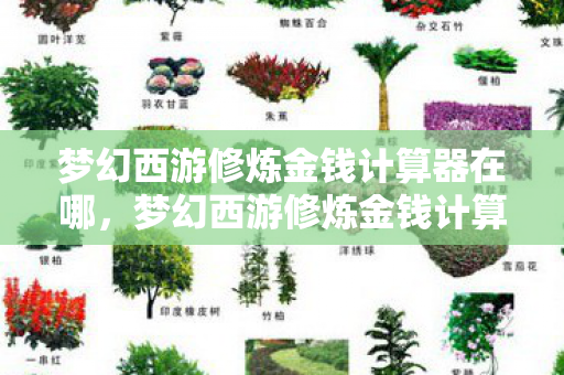 梦幻西游修炼金钱计算器在哪，梦幻西游修炼金钱计算器，助你轻松掌握修炼成本