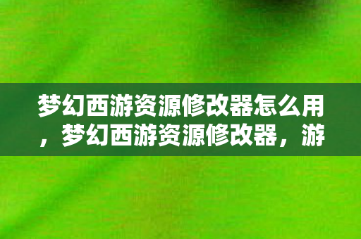 梦幻西游资源修改器怎么用，梦幻西游资源修改器，游戏内外的双刃剑